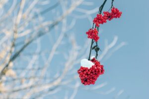 Read more about the article 클러스터용인경남아너스빌모델하우스 완벽 가이드